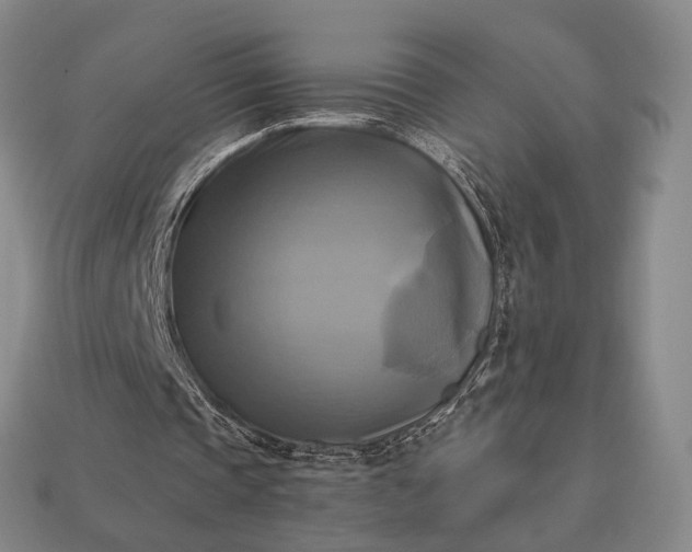 X0000112970337200909101658