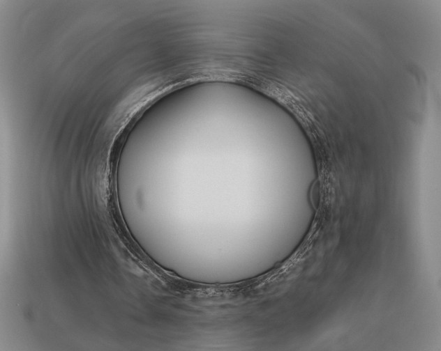 X0000112970338200909101658