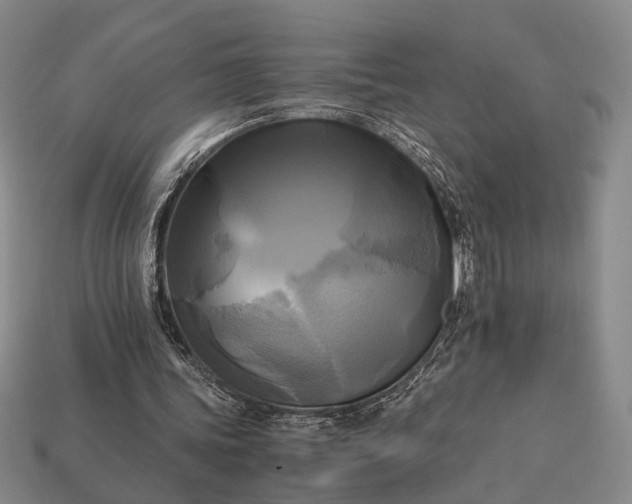 X0000112970339200909101658