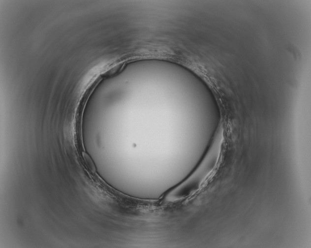 X0000112970340200909101658