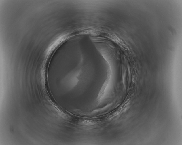 X0000112970341200909101658