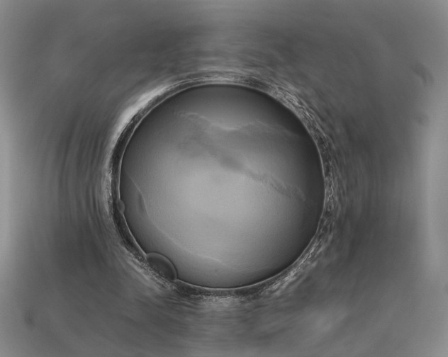 X0000112970342200909101658