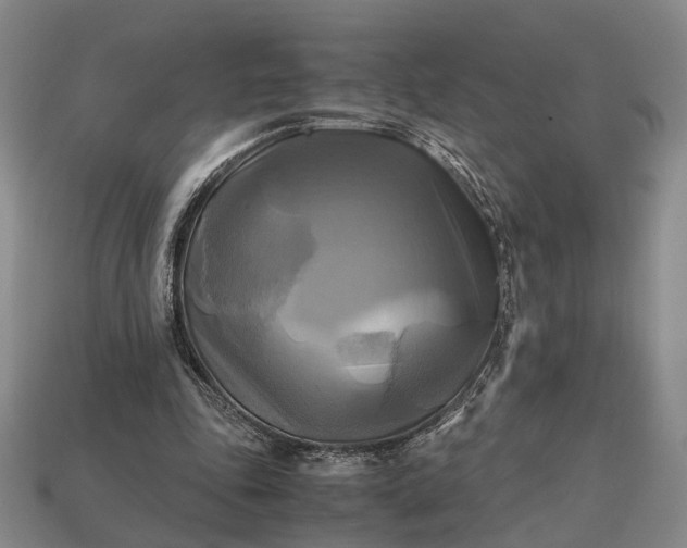 X0000112970343200909101658