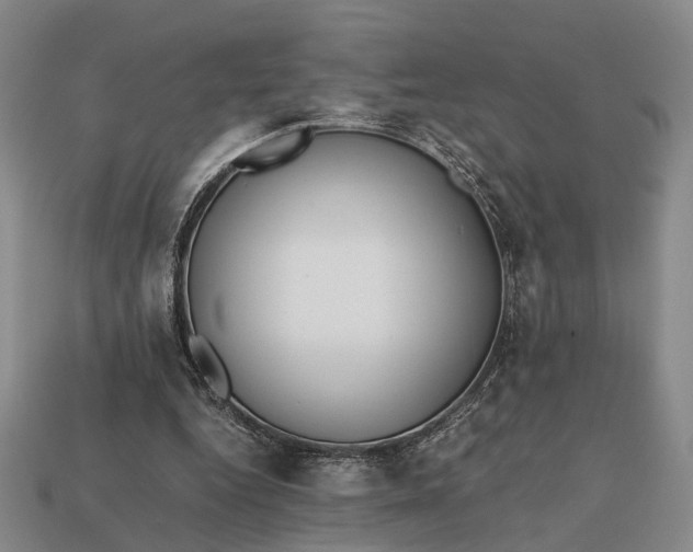 X0000112970344200909101658