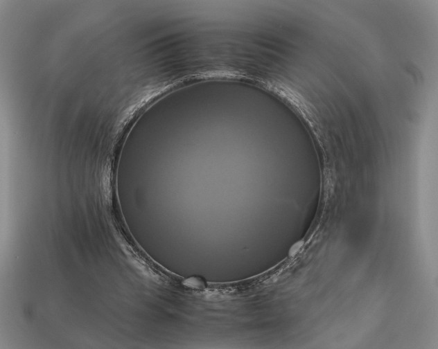 X0000112970345200909101658