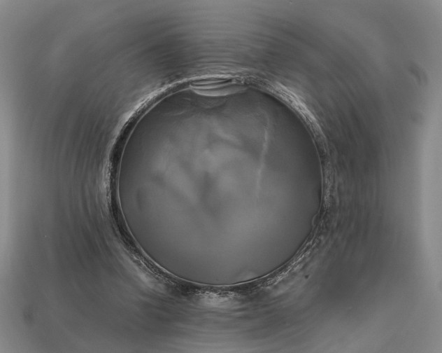 X0000112970346200909101658