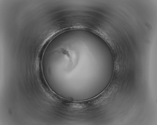 X0000112970347200909101658