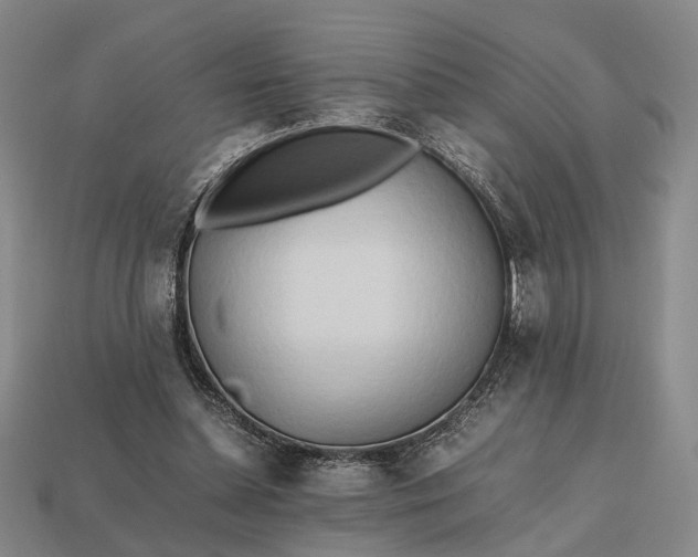 X0000112970348200909101658