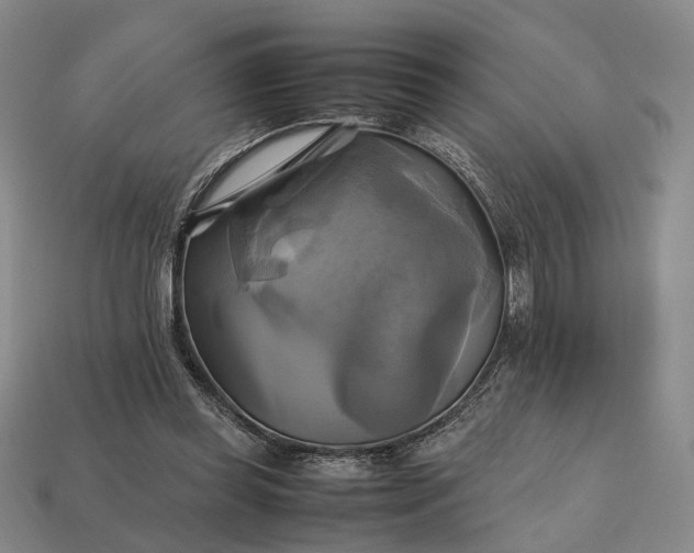 X0000112970349200909101658