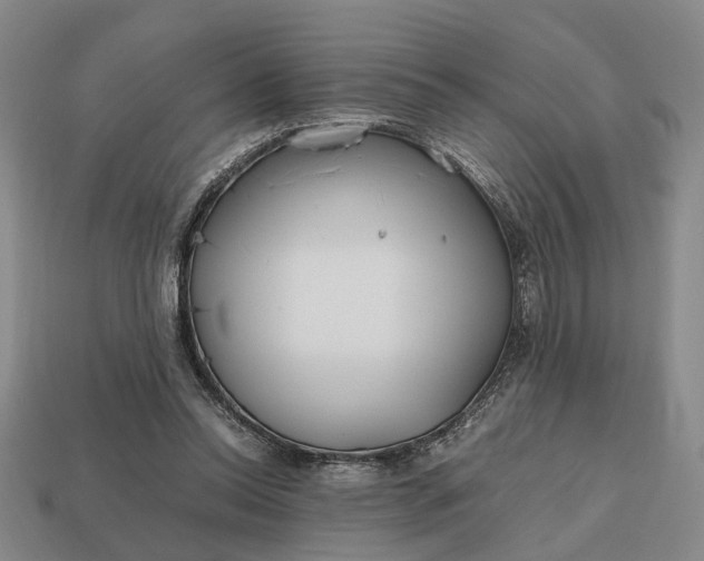 X0000112970350200909101658