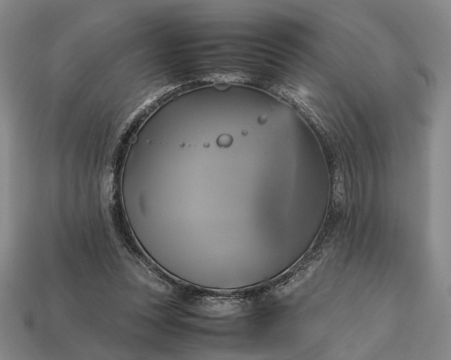 X0000112970351200909101658