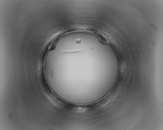 X0000112970352200909101658