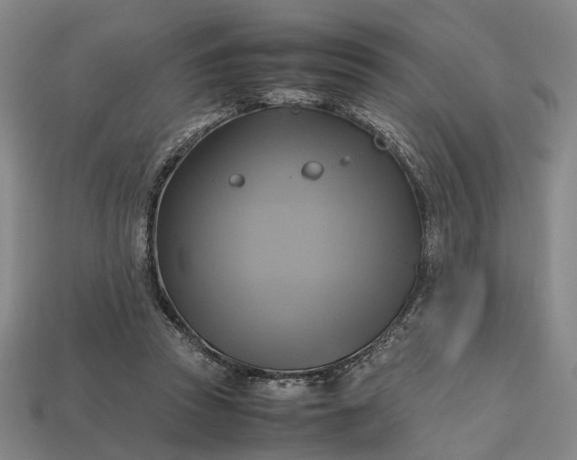 X0000112970353200909101658