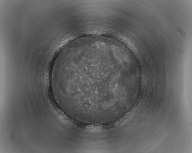 X0000112970354200909101658