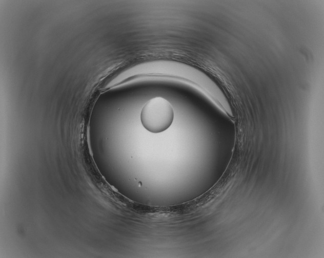 X0000112970356200909101658