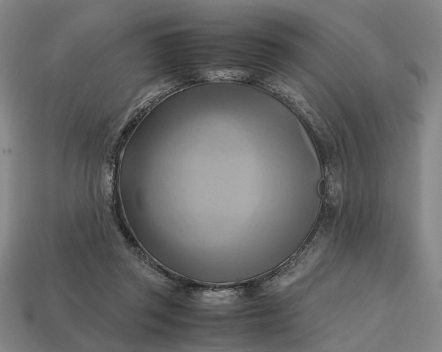 X0000112970357200909101658