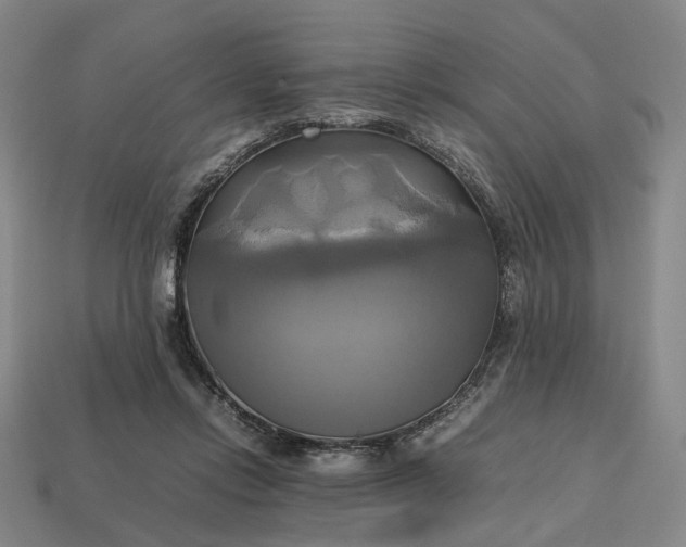 X0000112970358200909101658