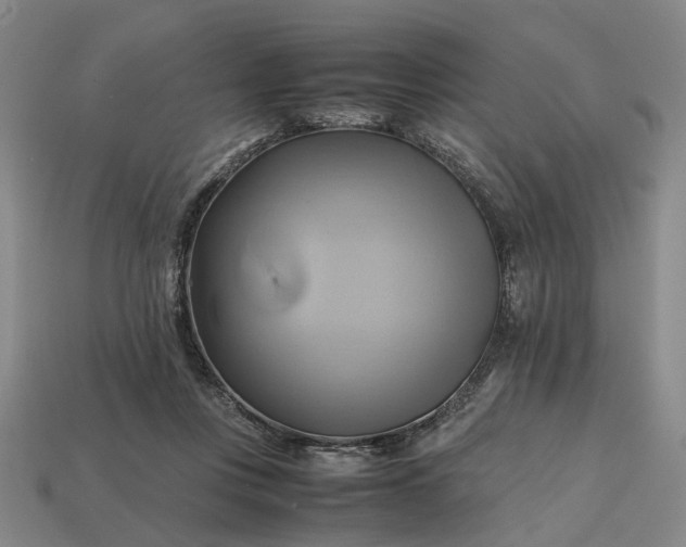 X0000112970359200909101658