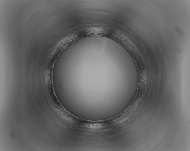 X0000112970361200909101658