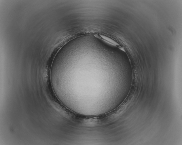 X0000112970362200909101658