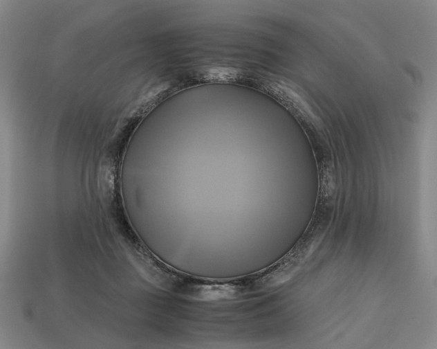 X0000112970363200909101658