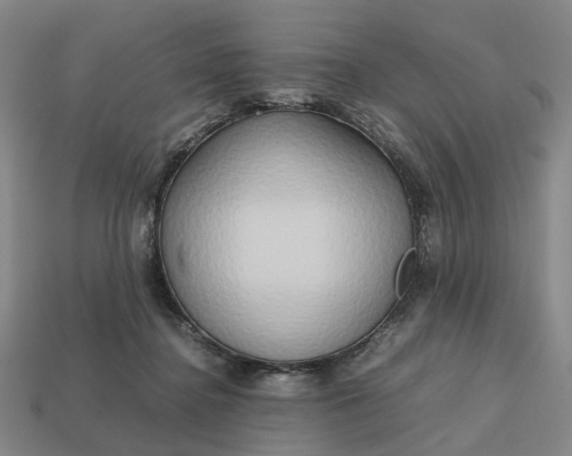 X0000112970364200909101658