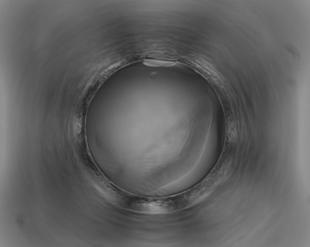 X0000112970365200909101658