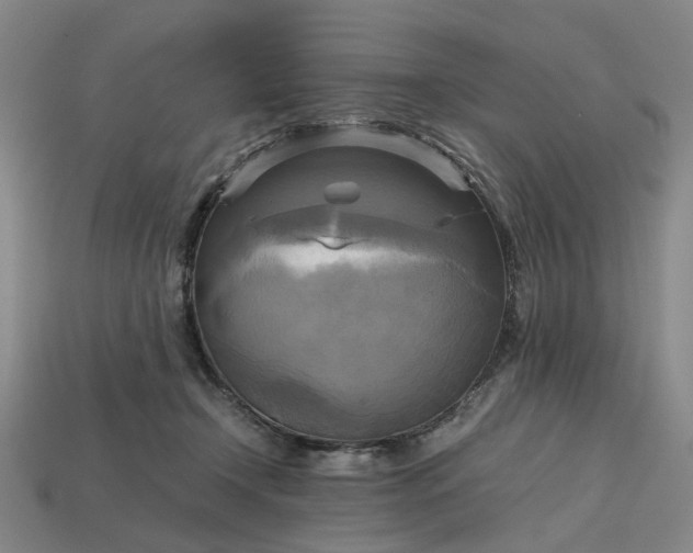 X0000112970366200909101658