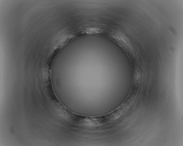 X0000112970367200909101658