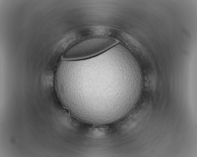 X0000112970368200909101658