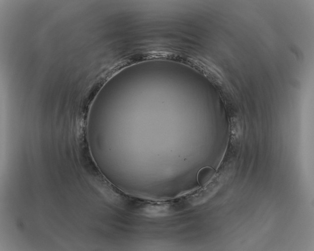 X0000112970369200909101658