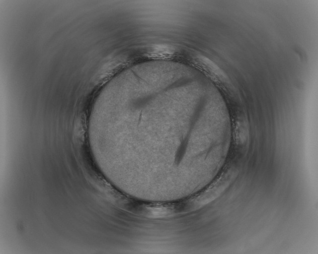 X0000112970370200909101658