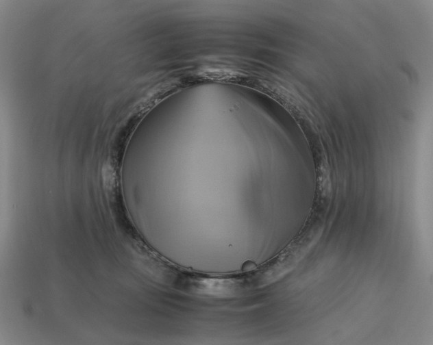 X0000112970371200909101658