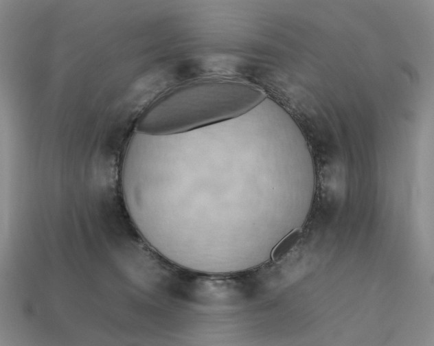 X0000112970372200909101658