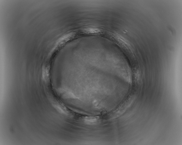 X0000112970373200909101658