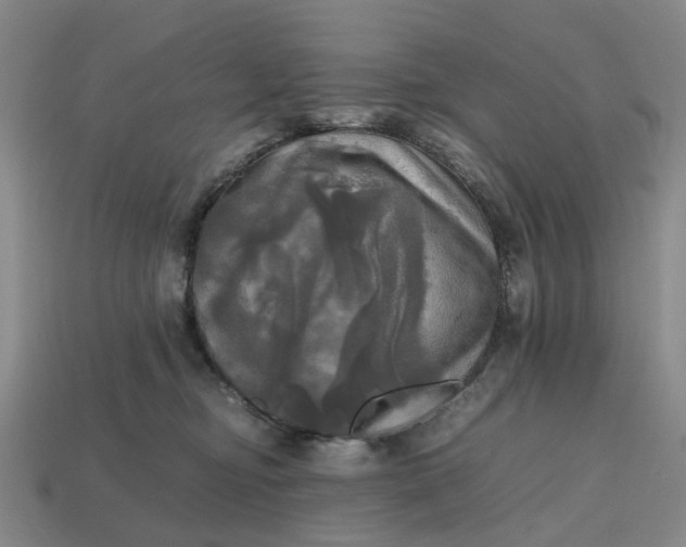 X0000112970374200909101658