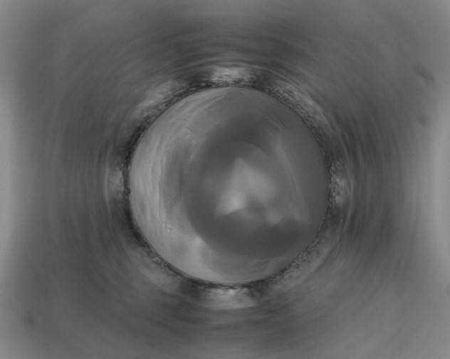 X0000112970375200909101658