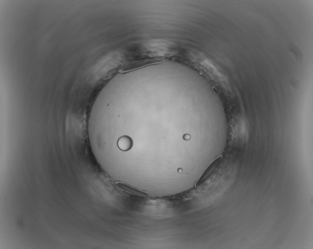 X0000112970376200909101658