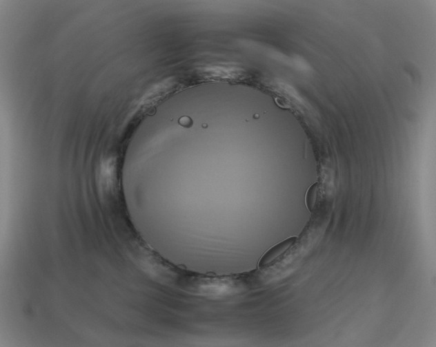 X0000112970377200909101658