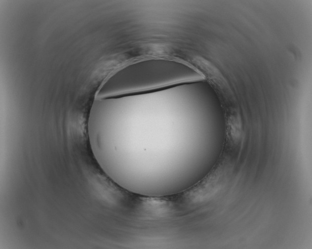 X0000112970380200909101658