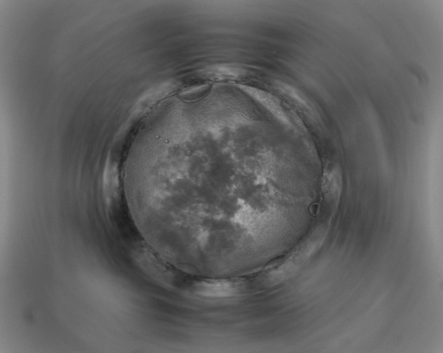 X0000112970381200909101658