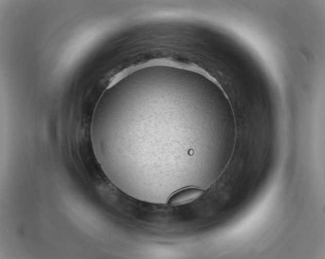 X0000112970382200909101658