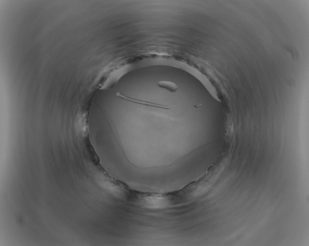 X0000112970383200909101658