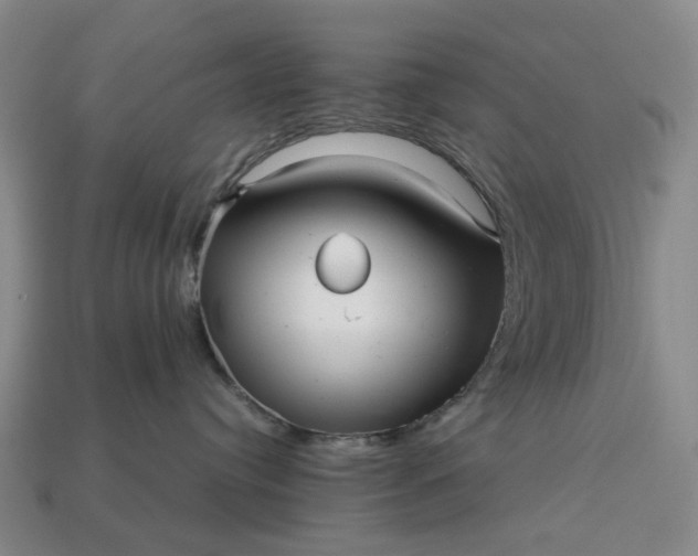 X0000112970384200909101658