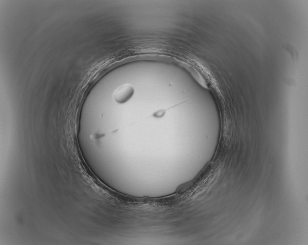 X0000112970385200909101658