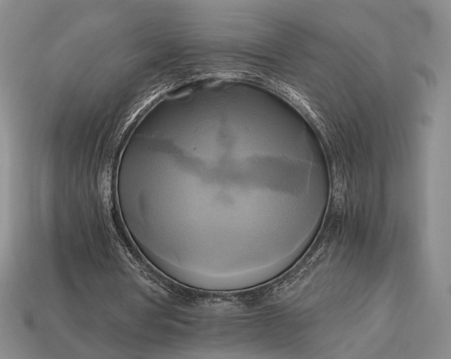 X0000112970386200909101658