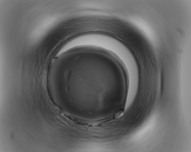 X0000112970387200909101658