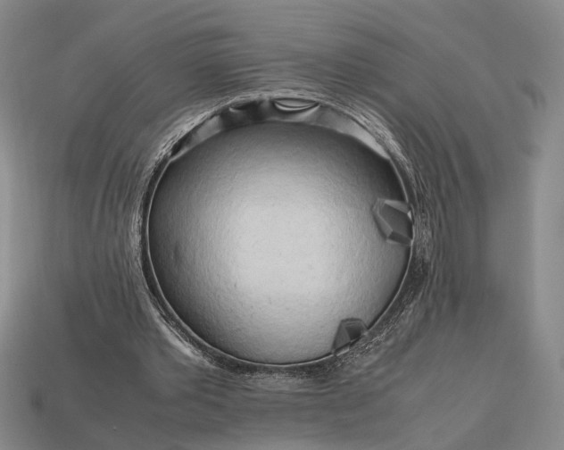 X0000112970389200909101657