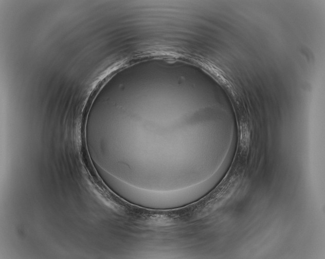 X0000112970390200909101657