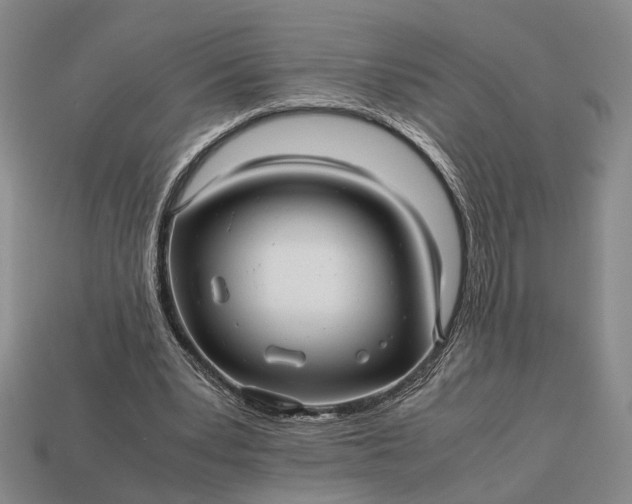 X0000112970391200909101657